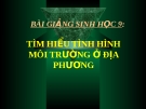 Bài giảng Thực hành tìm hiểu tình hình MT địa phương - Sinh 9 - GV. N.V.Tài