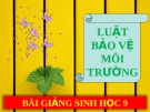 Bài giảng Sinh học 9 bài 61: Luật bảo vệ môi trường