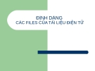 Bài giảng  Định dạng các files của tài liệu điện tử