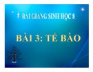 Bài giảng Sinh học 8 bài 3: Tế bào