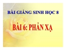 Bài giảng Sinh học 8 bài 6: Phản xạ