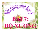 Bài giảng Sinh học 8 bài 7: Bộ xương