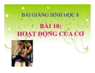 Bài giảng Sinh học 8 bài 10: Hoạt động của cơ