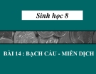 Bài giảng Sinh học 8 bài 14: Bạch cầu - Miễn dịch