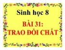 Bài giảng Sinh học 8 bài 31: Trao đổi chất