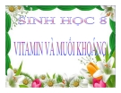 Bài giảng Sinh học 8 bài 34: Vitamin và muối khoáng