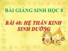 Bài giảng Sinh học 8 bài 48: Hệ thần kinh sinh dưỡng