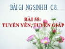 Bài giảng Sinh học 8 bài 56: Tuyến yên, tuyến giáp