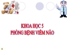 Bài 14: Phòng bệnh viêm não - Bài giảng điện tử Khoa học 5 - L.K.Chi