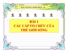 Bài giảng Sinh học 10 bài 1: Các cấp trong tổ chức thế giới sống