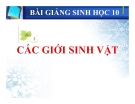 Bài giảng Sinh học 10 bài 2: Các giới sinh vật