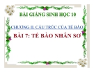 Bài giảng Sinh học 10 bài 7: Tế bào nhân sơ