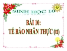 Bài giảng Sinh học 10 bài 10: Tế bào nhân thực (tiếp theo)