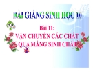 Bài giảng Sinh học 10 bài 11: Vận chuyển các chất qua màng sinh chất