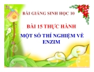 Bài giảng Sinh học 10 bài 15: Thực hành một số thí nghiệm về enzim