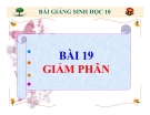 Slide bài Giảm phân - Sinh học 10 - GV.T.V.Phúc