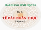 Bài giảng Sinh học 10 bài 9: Tế bào nhân thực (tiếp theo)