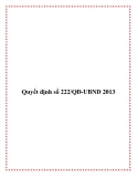 Quyết định số 222/QĐ-UBND 2013