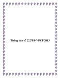 Thông báo số 222/TB-VPCP 2013