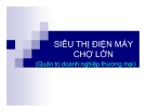 Tiểu luận: Chiến lược kinh doanh tại Siêu Thị Điện Máy Chợ Lớn