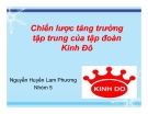 Tiểu luận: Chiến lược tăng trưởng tập trung của tập đoàn Kinh Đô