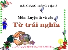 Bài giảng Tiếng việt 5 tuần 4 bài: Từ trái nghĩa