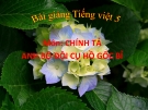 Bài giảng Chính tả: Nghe, viết: Anh bộ đội Cụ Hồ gốc Bỉ - Tiếng việt 5 - GV.N.T.Hồng