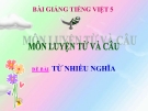 Bài giảng Luyện từ và câu: Từ nhiều nghĩa - Tiếng việt 5 - GV.N.T.Hồng