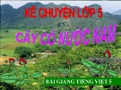 Bài giảng Kể chuyện: Cây cỏ nước Nam - Tiếng việt 5 - GV.N.T.Hồng