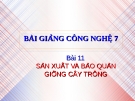 Bài giảng Công nghệ 7 bài 11: Sản xuất và bảo quản giống cây trồng