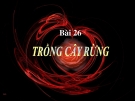 Bài 26: Trồng cây rừng - Bài giảng điện tử Công  nghệ 7 - H.Tuấn