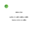 Báo cáo quản lý chất lượng nước trong nuôi cá chẽm