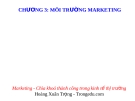 Bài giảng Marketing căn bản: Chương 3 - Ths.Hoàng Xuân Trọng