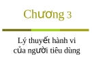 Bài giảng Kinh tế học vi mô - Chương 3: Lý thuyết hành vi của người tiêu dùng