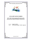 SKKN: Một số phương pháp giải hệ phương trình không mẫu mực dùng bồi dưỡng học sinh giỏi lớp 9