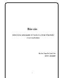 Báo cáo: Tiềm năng sinh khối từ ngô của tỉnh Vĩnh Phúc