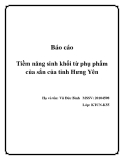 Báo cáo: Tiềm năng sinh khối từ phụ phẩm của sắn của tỉnh Hưng Yên