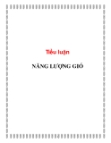 Tiểu luận: Năng lượng gió