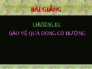 Bài giảng Bảo vệ Rơ le: Chương 3 - Bảo vệ quá dòng có hướng