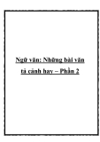 Những bài văn tả cảnh hay – Phần 2