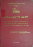 Khóa luận tốt nghiệp: Một số vấn đề về bán phá giá, chống bán phá giá trong thương mại quốc tế và những bất cập khi bị đơn từ những nước có nền kinh tế phi thị trường