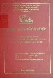 Khóa luận tốt nghiệp: Vai trò của hoạt động nhượng quyền thương mại đối với việc thâm nhập thị trường quốc tế