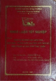 Khóa luận tốt nghiệp: Quan hệ thương mại hàng hóa Việt Nam - Trung Quốc qua biên giới trên bộ thực trạng và giải pháp phát triển