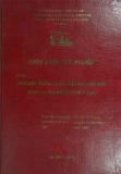 Khóa luận tốt nghiệp: Chính sách thương mại biên mậu của Trung Quốc và bài học kinh nghiệm với Việt Nam