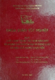 Khóa luận tốt nghiệp: Luật cạnh tranh Việt Nam năm 2004 và những giải pháp nhằm áp dụng luật có hiệu quả trong thực tiễn