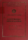 Khóa luận tốt nghiệp: Đầu tư trực tiếp nước ngoài của Mỹ vào Việt Nam: thực trạng và triển vọng