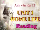 Bài giảng Tiếng Anh 12 Unit 1: Home life