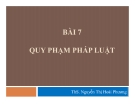 Bài giảng Quy phạm pháp luật - TS Nguyễn Thị Hoài Thương