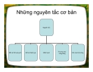 Bài giảng Những nguyên tắc cơ bản trong luật thương mại quốc tế