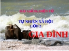 Bài giảng Gia đình - Tự nhiên xã hội 2 - GV. N.T.Sỹ